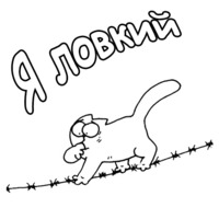 Кот Саймона
