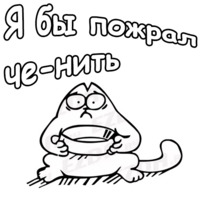 Кот Саймона