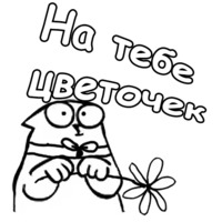 Кот Саймона