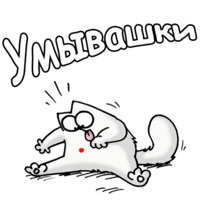Кот Саймона