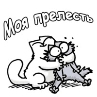 Кот Саймона