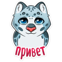 Кошачьи нежности