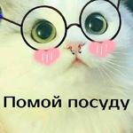 Набор стикеров Котэ от Никича и Лиски