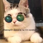 Котэ от Никича и Лиски