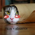 Котэ от Никича и Лиски