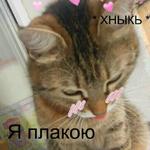 Котэ от Никича и Лиски