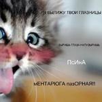 Котэ от Никича и Лиски