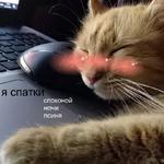 Котэ от Никича и Лиски