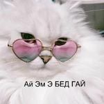 Котэ от Никича и Лиски