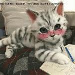 Котэ от Никича и Лиски