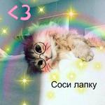 Котэ от Никича и Лиски