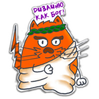 Кот-дизайнер