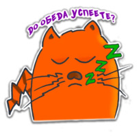 Кот-дизайнер