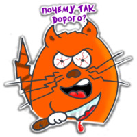 Кот-дизайнер