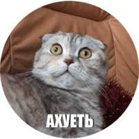 Набор стикеров Кот Эрис