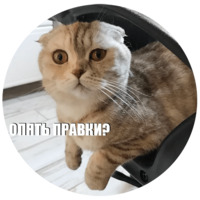 Кот Эрис