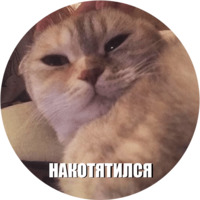 Кот Эрис