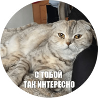 Кот Эрис