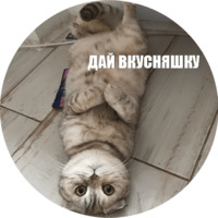 Кот Эрис