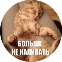 Кот Эрис