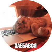 Кот Эрис