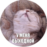 Кот Эрис