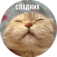 Кот Эрис