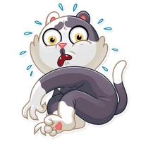 Catler