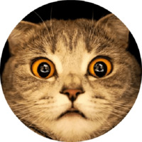 Набор стикеров Котики и кошечки 2