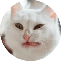 Котики и кошечки 2
