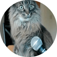 Котики и кошечки 2