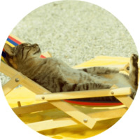Котики и кошечки 2