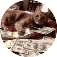 Котики и кошечки 2