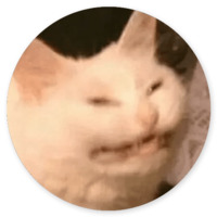 Котики и кошечки 2