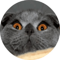 Котики и кошечки 2