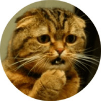 Котики и кошечки 2