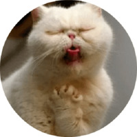 Котики и кошечки 2