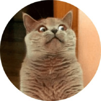 Котики и кошечки 2