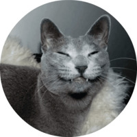 Котики и кошечки 2