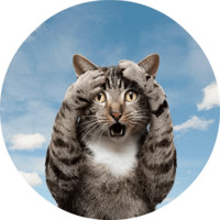 Котики и кошечки 2