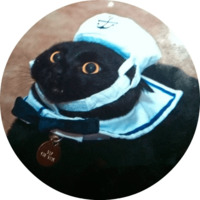 Котики и кошечки 2