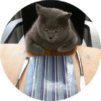 Котики и кошечки 2
