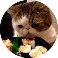 Котики и кошечки 2