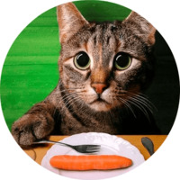 Котики и кошечки