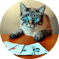 Котики и кошечки