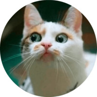 Котики и кошечки