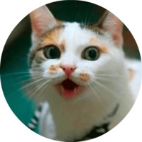 Котики и кошечки