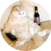 Котики и кошечки