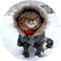 Котики и кошечки