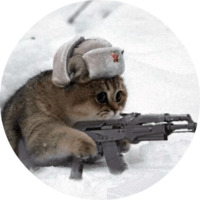 Котики и кошечки